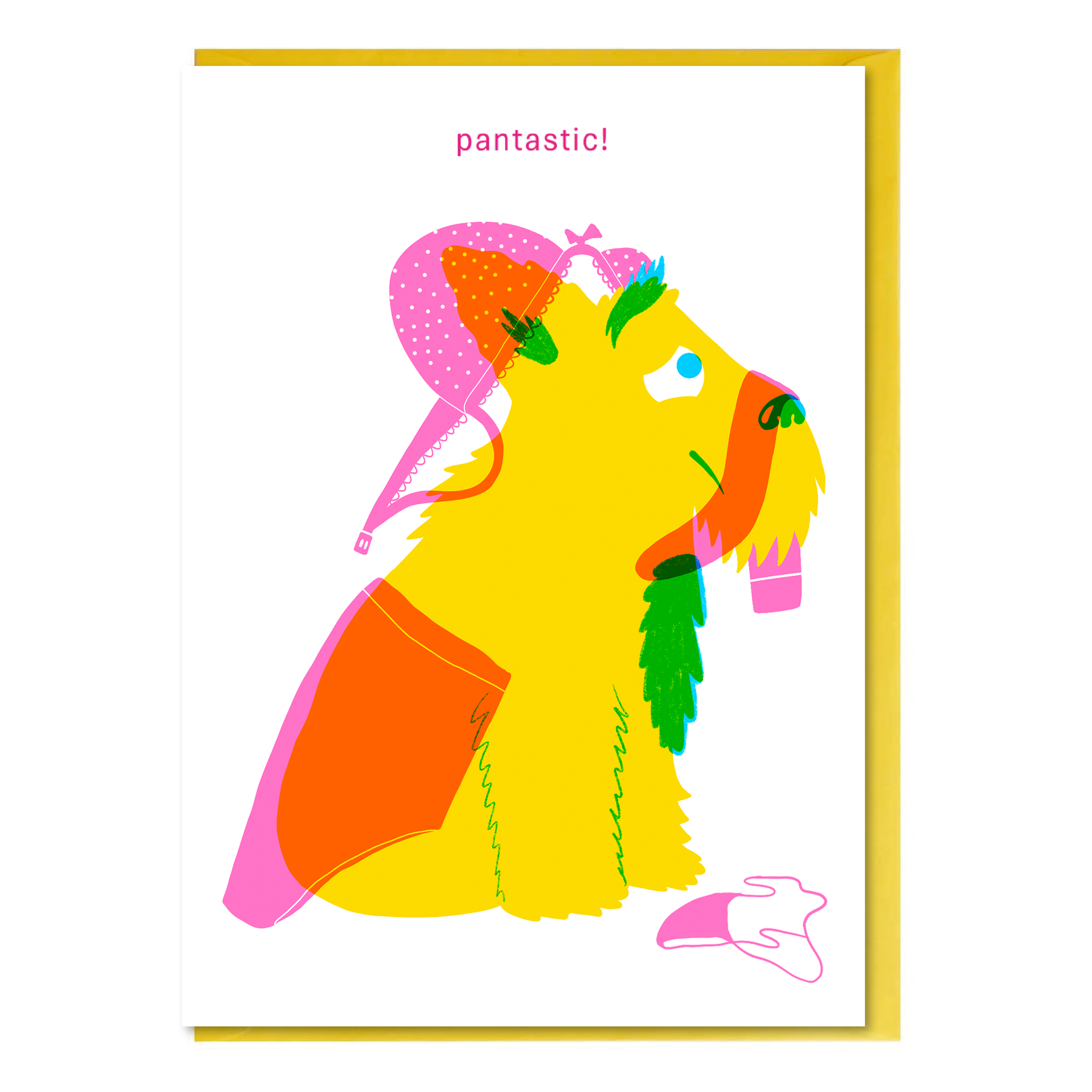 Colorful illustrated greeting card of a dog with pink underwear draped over them with yellow envelope